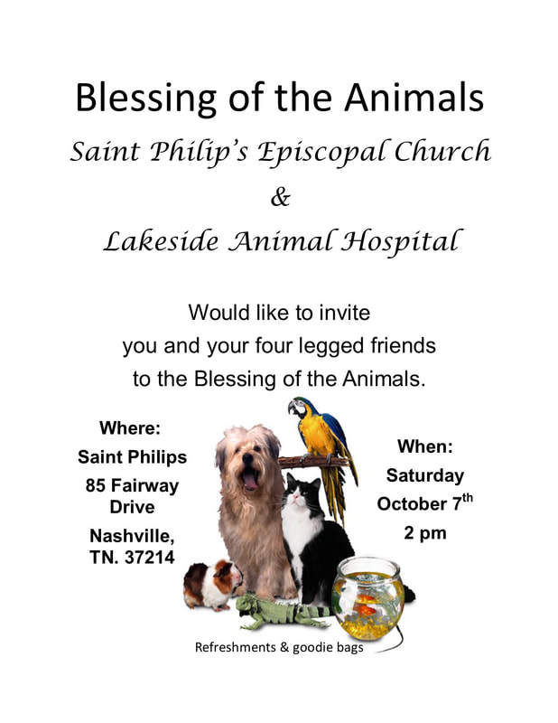 promos/events - Lakeside Animal Hospital